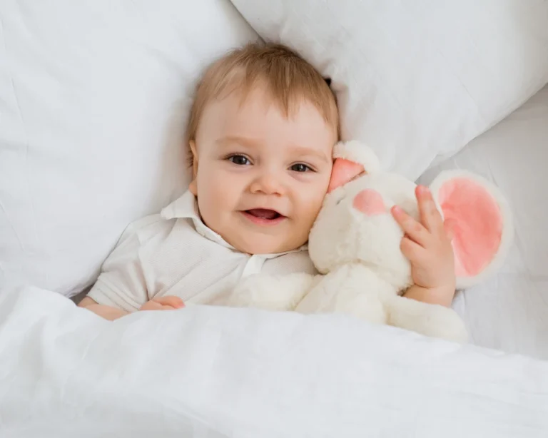 modern design rocking bassinet