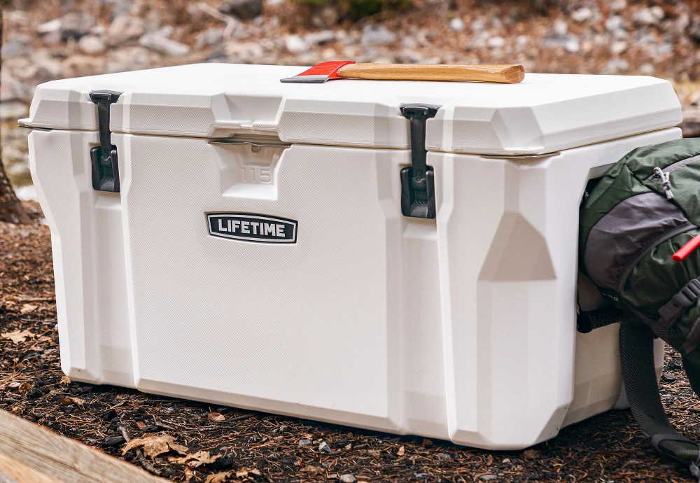 car ice chest cooler