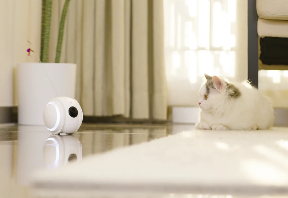 pet cameras for home