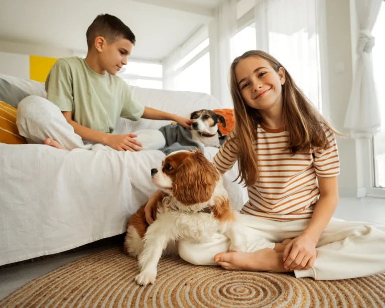 automatic dog feeder and water